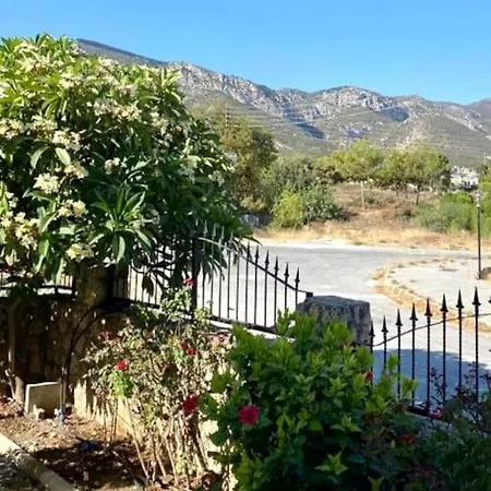 Ivy * Kyrenia (Northern Cyprus)