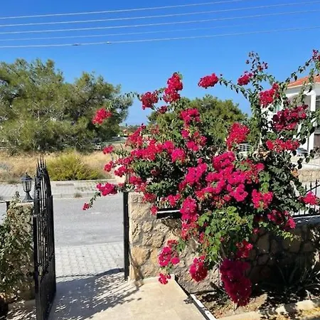 Hotell Ivy Kyrenia (Northern Cyprus)