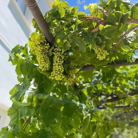 Ivy Kyrenia (Northern Cyprus)